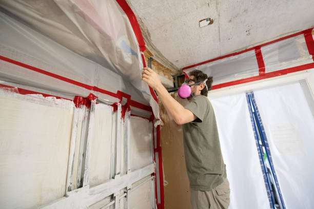 Best Indoor Air Quality Assessment  in Minturn, CO